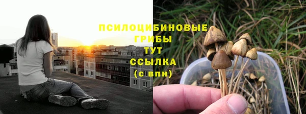 мдпв Новодвинск