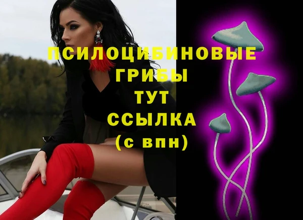 спиды Нефтекумск