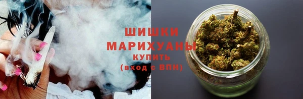 твердый Новозыбков