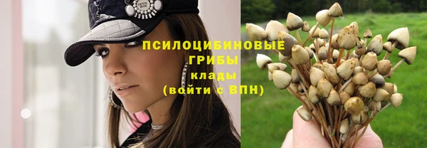 сатива Нефтегорск
