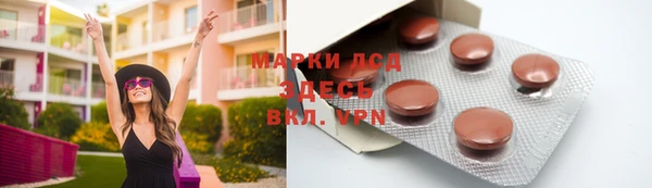 твердый Новозыбков