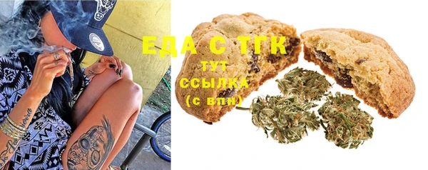 твердый Новозыбков