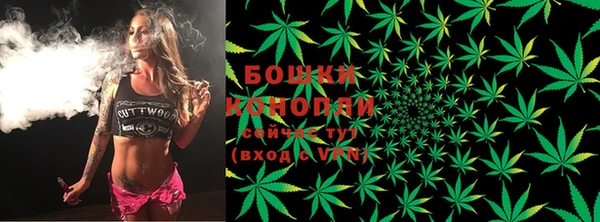твердый Новозыбков