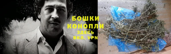 твердый Новозыбков