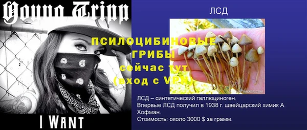 сатива Нея