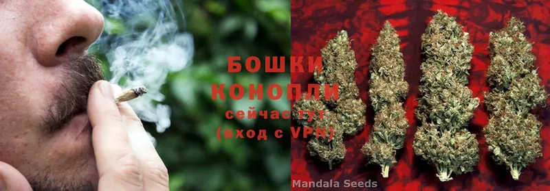 Бошки Шишки OG Kush  Новое Девяткино 